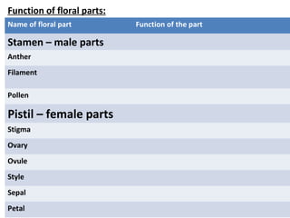 Function of floral parts:
Name of floral part Function of the part
Stamen – male parts
Anther
Filament
Pollen
Pistil – female parts
Stigma
Ovary
Ovule
Style
Sepal
Petal
 