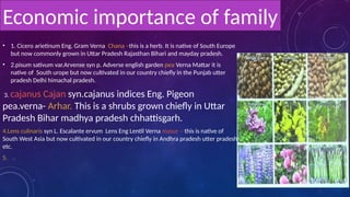 • 1. Cicero arietinum Eng. Gram Verna Chana –this is a herb. It is native of South Europe
but now commonly grown in Uttar Pradesh Rajasthan Bihari and mayday pradesh.
• 2.pisum sativum var.Arvense syn p. Adverse english garden pea Verna Mattar it is
native of South urope but now cultivated in our country chiefly in the Punjab utter
pradesh Delhi himachal pradesh.
3. cajanus Cajan syn.cajanus indices Eng. Pigeon
pea.verna- Arhar. This is a shrubs grown chiefly in Uttar
Pradesh Bihar madhya pradesh chhattisgarh.
4.Lens culinaris syn L. Escalante ervum Lens Eng Lentil Verna masur – this is native of
South West Asia but now cultivated in our country chiefly in Andhra pradesh utter pradesh
etc.
5.
Economic importance of family
 