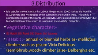 • It is popular known as matar kul ,about 490 genera & 12000 spices are found in
it.100 genera and 748 species of this sub family are found in India. This family is
cosmopolitan most of the plants &mesophyte. Some plants become xerophytes' due
to modification of leaves such as- aluminum pseudoalahgi halophtes.
•Vegetative character:-
• (i) Habit (ii) Root (iii) Stem (iv) Leaves
• (i) Habit :- annual or biennial herbs as- melilotus
climber such as-pisum Vicia Delicious
(sem)Shrub,woody climber jaise- Dalbergiya etc.
3.Distribution
 