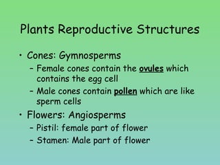 Plants Reproductive Structures
• Cones: Gymnosperms
– Female cones contain the ovules which
contains the egg cell
– Male cones contain pollen which are like
sperm cells
• Flowers: Angiosperms
– Pistil: female part of flower
– Stamen: Male part of flower
 