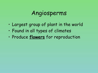 Angiosperms
• Largest group of plant in the world
• Found in all types of climates
• Produce flowers for reproduction
 