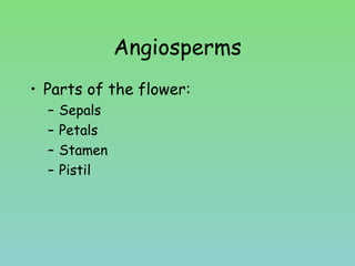 Angiosperms
• Parts of the flower:
– Sepals
– Petals
– Stamen
– Pistil
 