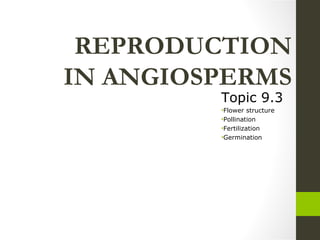 REPRODUCTION IN ANGIOSPERMS ,[object Object],[object Object],[object Object],[object Object],[object Object]