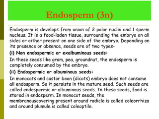 Endosperm (3n)
Endosperm is develops from union of 2 polar nuclei and 1 sperm
nucleus. It is a food-laden tissue, surrounding the embryo on all
sides or either present on one side of the embryo. Depending on
its presence or absence, seeds are of two types-
(i) Non endospermic or exalbuminous seeds:
In these seeds like gram, pea, groundnut, the endosperm is
completely consumed by the embryo.
(ii) Endospermic or albuminous seeds:
In monocots and castor bean (dicots) embryo does not consume
all endosperm. So it persists in the mature seed. Such seeds are
called endospermic or albuminous seeds. In these seeds, food is
stored in endosperm. In monocot seeds, the
membranouscovering present around radicle is called coleorrhiza
and around plumule is called coleoptile.
 