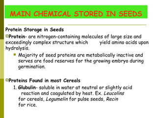 MAIN CHEMICAL STORED IN SEEDS
Protein Storage in Seeds
Protein- are nitrogen-containing molecules of large size and
exceedingly complex structure which yield amino acids upon
hydrolysis.
 Majority of seed proteins are metabolically inactive and
serves are food reserves for the growing embryo during
germination.
Proteins Found in most Cereals
1. Glubulin- soluble in water at neutral or slightly acid
reaction and coagulated by heat. Ex. Leucolins
for cereals, Legumelin for pulse seeds, Recin
for rice.
 