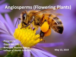 Angiosperms (Flowering Plants)
Presenters:
Group ten (10)
Bota 104, Mother Patern
college of Health Sciences May 13, 2019
 
