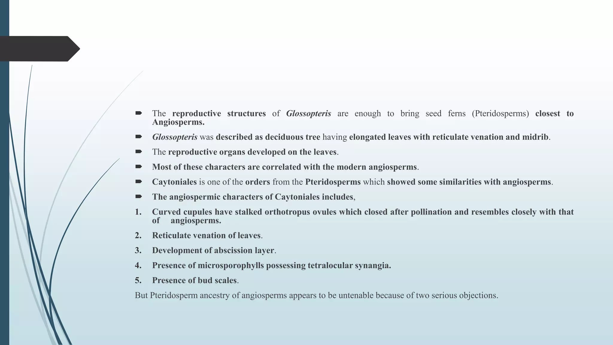  The reproductive structures of Glossopteris are enough to bring seed ferns (Pteridosperms) closest to
Angiosperms.
 Glossopteris was described as deciduous tree having elongated leaves with reticulate venation and midrib.
 The reproductive organs developed on the leaves.
 Most of these characters are correlated with the modern angiosperms.
 Caytoniales is one of the orders from the Pteridosperms which showed some similarities with angiosperms.
 The angiospermic characters of Caytoniales includes,
1. Curved cupules have stalked orthotropus ovules which closed after pollination and resembles closely with that
of angiosperms.
2. Reticulate venation of leaves.
3. Development of abscission layer.
4. Presence of microsporophylls possessing tetralocular synangia.
5. Presence of bud scales.
But Pteridosperm ancestry of angiosperms appears to be untenable because of two serious objections.
 