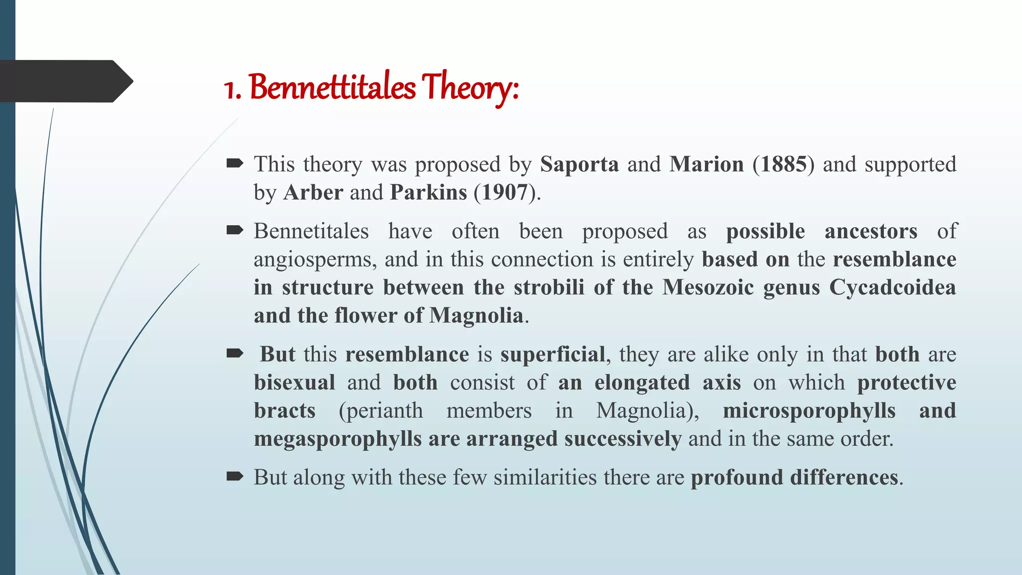 1. Bennettitales Theory:
 This theory was proposed by Saporta and Marion (1885) and supported
by Arber and Parkins (1907).
 Bennetitales have often been proposed as possible ancestors of
angiosperms, and in this connection is entirely based on the resemblance
in structure between the strobili of the Mesozoic genus Cycadcoidea
and the flower of Magnolia.
 But this resemblance is superficial, they are alike only in that both are
bisexual and both consist of an elongated axis on which protective
bracts (perianth members in Magnolia), microsporophylls and
megasporophylls are arranged successively and in the same order.
 But along with these few similarities there are profound differences.
 