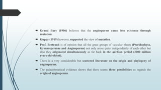 Angiosperms - origin and evolution ( pteridospermean and bennititalean ...