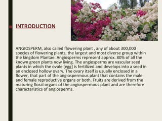 Some Flowering plants of Himachal Pradesh | DOCX