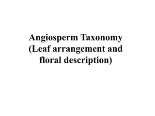 Angiosperm Taxonomy
(Leaf arrangement and
floral description)
 