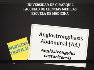 Angiostrongiliasis 
Abdominal (AA) 
Angiostrongylus 
costaricensis 
 