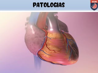PATOLOGIAS
 