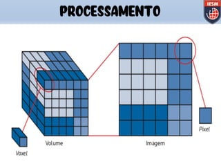PROCESSAMENTO
 