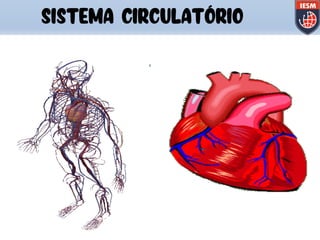 SISTEMA CIRCULATÓRIO
 