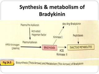 Synthesis & metabolism of
Bradykinin
 
