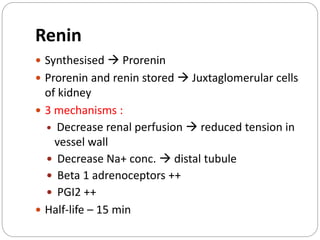 Renin
 Synthesised  Prorenin
 Prorenin and renin stored  Juxtaglomerular cells
of kidney
 3 mechanisms :
 Decrease renal perfusion  reduced tension in
vessel wall
 Decrease Na+ conc.  distal tubule
 Beta 1 adrenoceptors ++
 PGI2 ++
 Half-life – 15 min
 