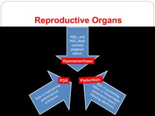 Reproductive Organs
Dysmenorrhoea
PDA
 