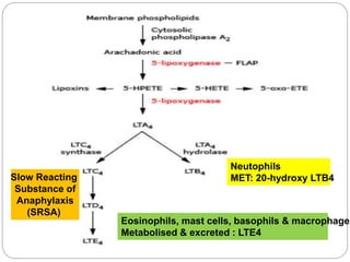 Neutophils
MET: 20-hydroxy LTB4
Eosinophils, mast cells, basophils & macrophages
Metabolised & excreted : LTE4
Slow Reacting
Substance of
Anaphylaxis
(SRSA)
 