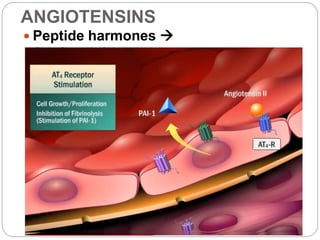 ANGIOTENSINS
 Peptide harmones 
Angiotensinogen
 
