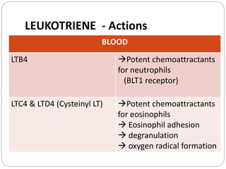 LEUKOTRIENE - Actions
BLOOD
LTB4 Potent chemoattractants
for neutrophils
(BLT1 receptor)
LTC4 & LTD4 (Cysteinyl LT) Potent chemoattractants
for eosinophils
 Eosinophil adhesion
 degranulation
 oxygen radical formation
 
