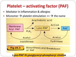 Platelet – activating factor (PAF)
 Mediator in inflammation & allergies
 Misnomer  platelet stimulation ++  the name
Lyso-PAFLysoglyceryl-phosphoryl choline
 