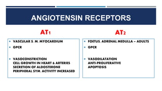 ANGIOTENSIN RECEPTORS
AT1
 VASCULAR S. M, MYOCARDIUM
 GPCR
 VASOCONSTRICTION
CELL GROWTH IN HEART & ARTERIES
SECRETION OF ALDOSTERONE
PERIPHERAL SYM. ACTIVITY INCREASED
AT2
 FOETUS, ADRENAL MEDULLA – ADULTS
 GPCR
 VASODILATATION
ANTI-PROLIFERATIVE
APOPTOSIS
 