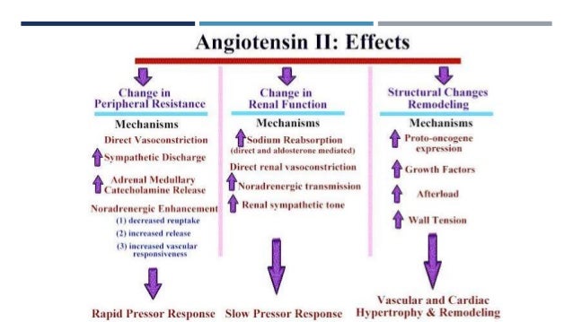 Image result for Angiotensin Receptor Blockers  images