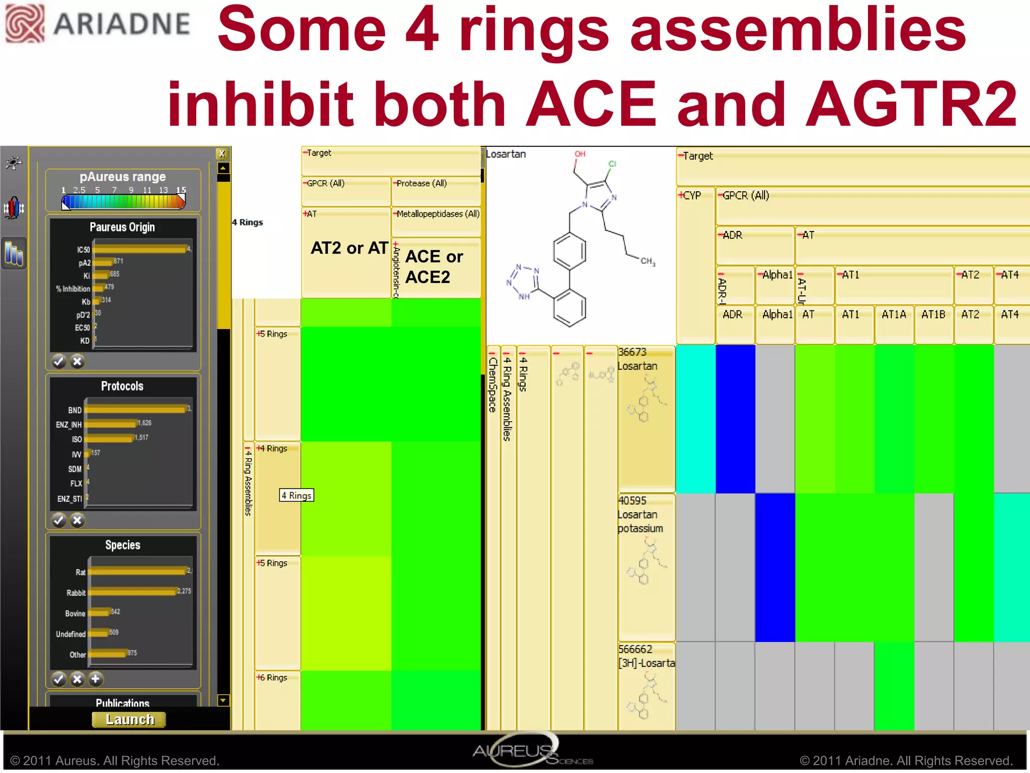 Bemis and Murcko Scaffolds active on AGTR2 and Renin-Angiotensin enzymes using AurPROFILER and AurSCOPE GPS18 Active Scaffolds on the two systems are displayed :  341 Molecules coming from 			103 Articles		  31 Patents