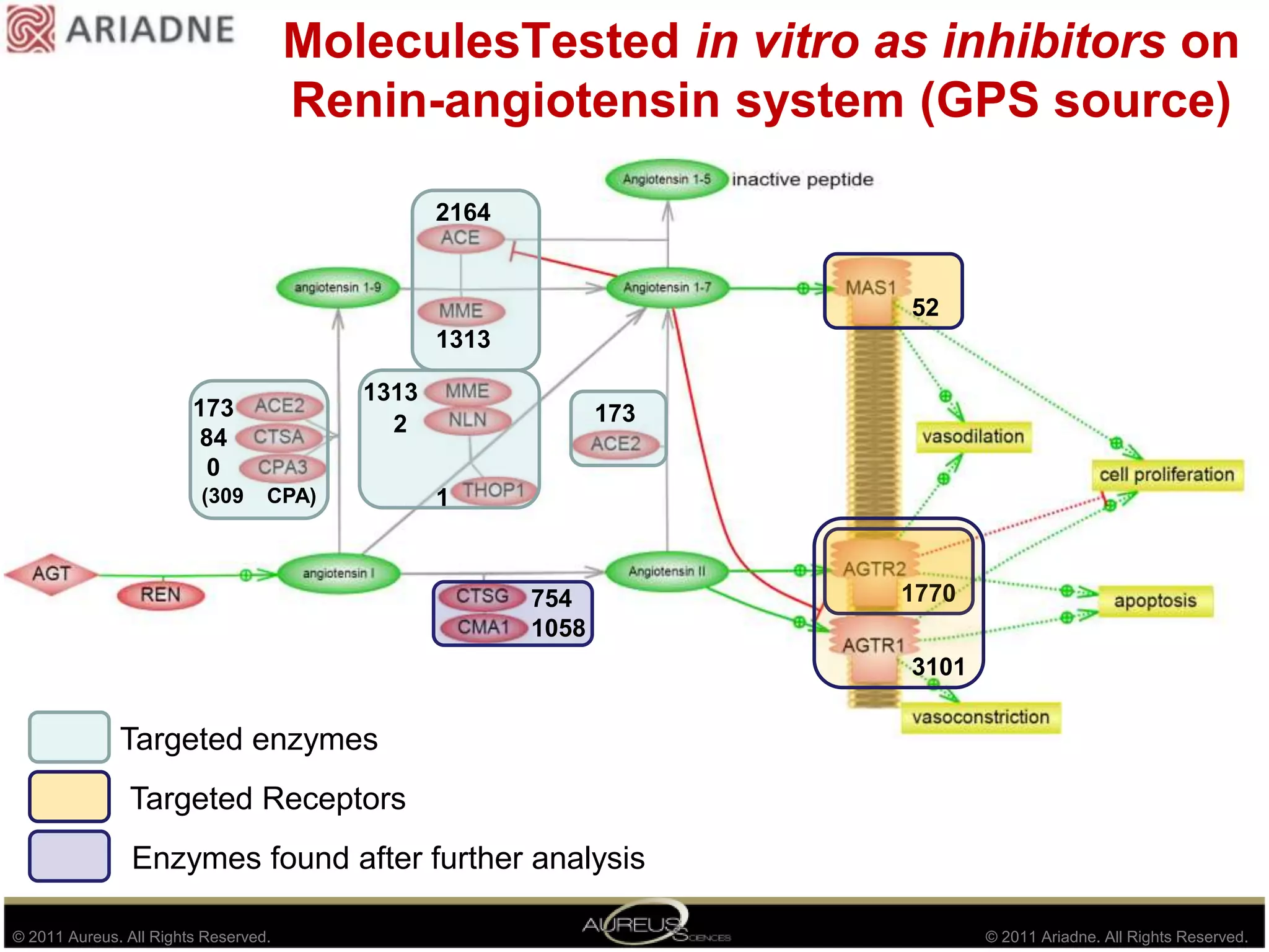 MoleculesTestedin vitro as inhibitors on Renin-angiotensin system (GPS source)2164521313131317384017321(309    CPA)177075410583101Targeted enzymesTargetedReceptorsEnzymes foundafterfurtheranalysis