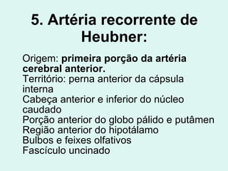 5. Artéria recorrente de Heubner: Origem:  primeira porção da artéria cerebral anterior. Território: perna anterior da cápsula interna Cabeça anterior e inferior do núcleo caudado Porção anterior do globo pálido e putâmen Região anterior do hipotálamo Bulbos e feixes olfativos Fascículo uncinado 