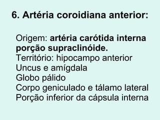 6. Artéria coroidiana anterior: Origem:  artéria carótida interna porção supraclinóide. Território: hipocampo anterior Uncus e amígdala Globo pálido Corpo geniculado e tálamo lateral Porção inferior da cápsula interna 