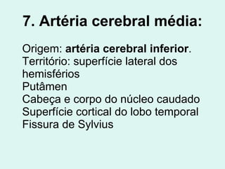 7. Artéria cerebral média: Origem:  artéria cerebral inferior . Território: superfície lateral dos hemisférios Putâmen Cabeça e corpo do núcleo caudado Superfície cortical do lobo temporal Fissura de Sylvius 