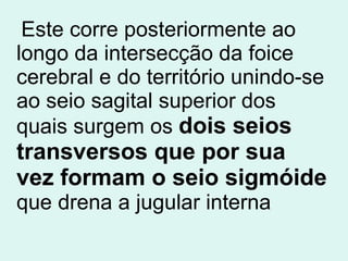 Este corre posteriormente ao longo da intersecção da foice cerebral e do território unindo-se ao seio sagital superior dos quais surgem os  dois seios transversos que por sua vez formam o seio sigmóide  que drena a jugular interna 