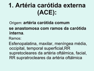 1. Artéria carótida externa (ACE): Origem:  artéria carótida comum se anastomosa com ramos da carótida interna . Ramos:  Esfenopalatina, maxilar, meníngea média, occipital, temporal superficial,RR supretocleares da artéria oftálmica, facial, RR supratrocleares da artéria oftálmica   