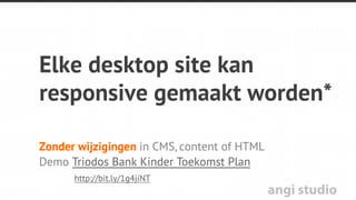 angi studio
Case: Triodos.nl
 