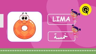 LIMA
‫سة‬‫مخ‬
 