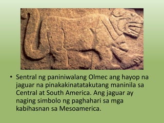 • Sentral ng paniniwalang Olmec ang hayop na
jaguar na pinakakinatatakutang maninila sa
Central at South America. Ang jaguar ay
naging simbolo ng paghahari sa mga
kabihasnan sa Mesoamerica.

 