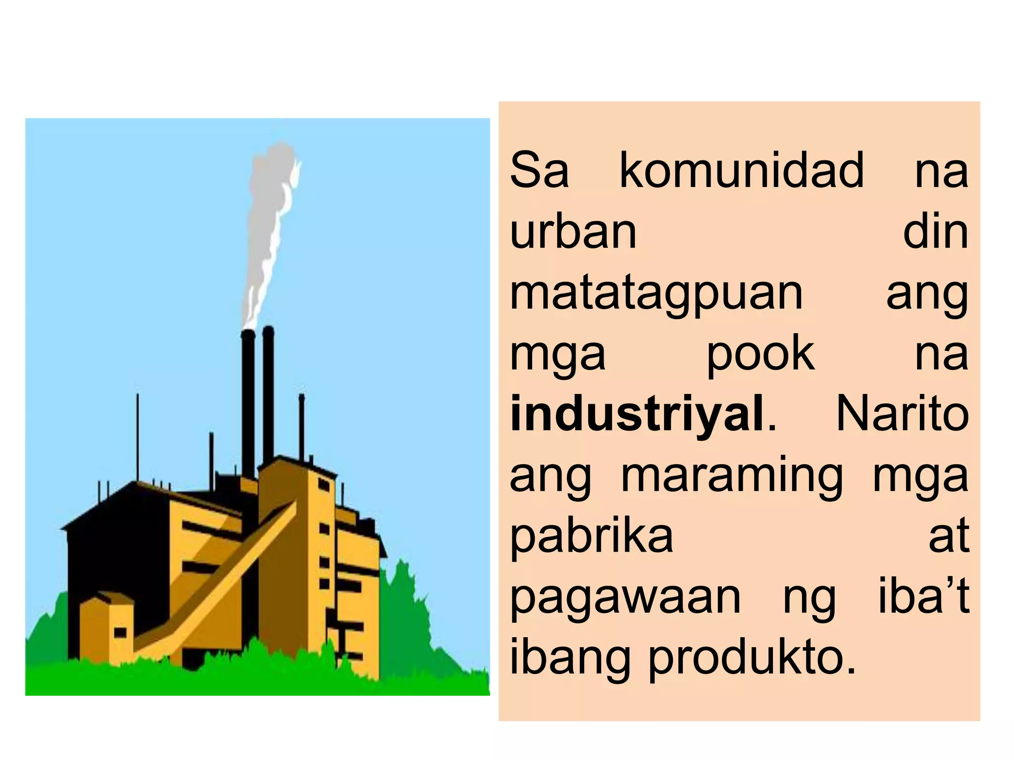 Sa komunidad na
urban din
matatagpuan ang
mga pook na
industriyal. Narito
ang maraming mga
pabrika at
pagawaan ng iba’t
ibang produkto.