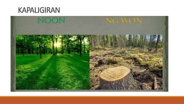 Kapaligiran Noon At Ngayon Kapaligiran Noon At Ngayon Picture