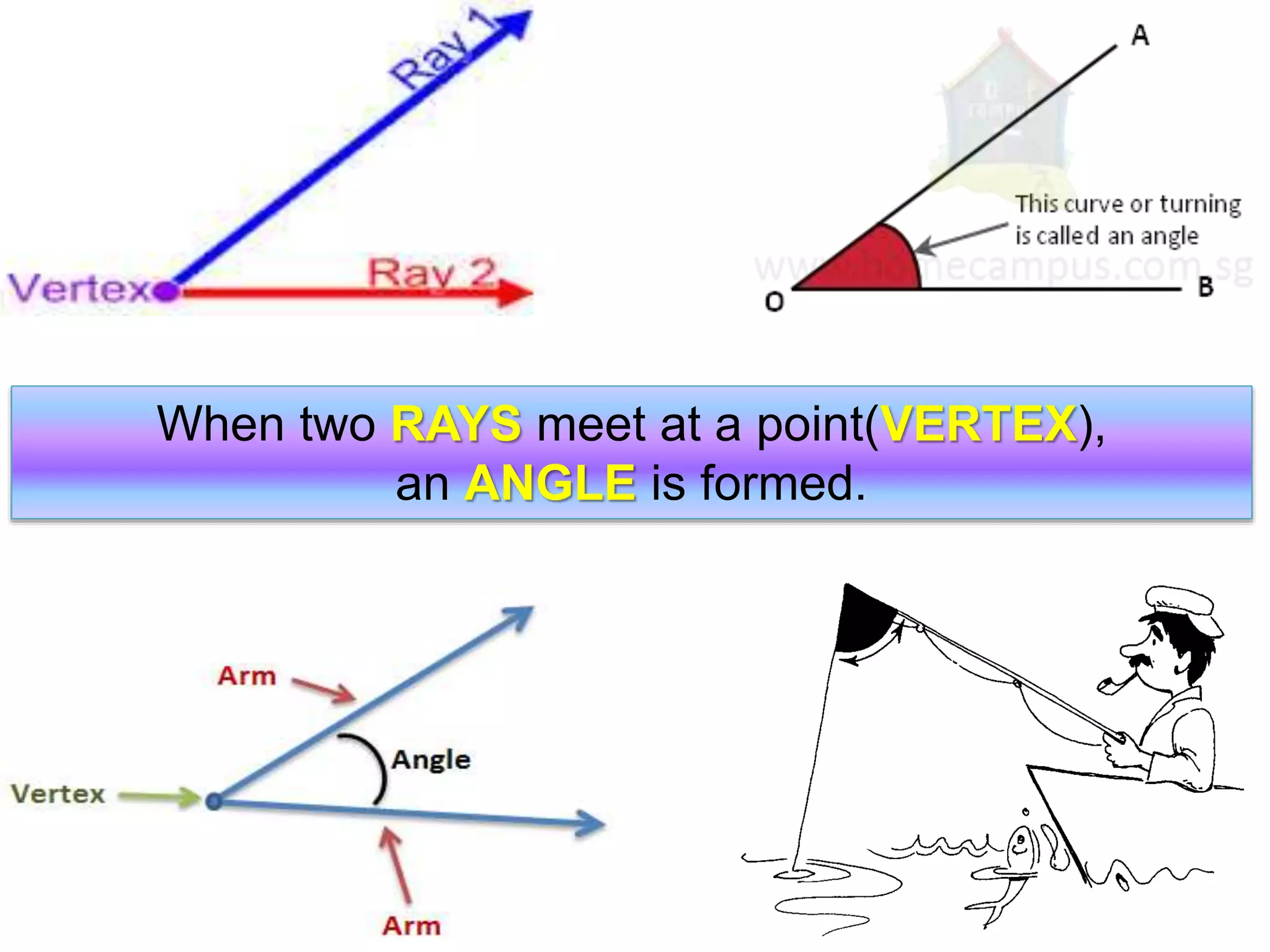 When two RAYS meet at a point(VERTEX),
an ANGLE is formed.
 
