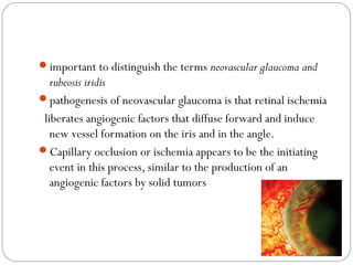 important to distinguish the terms neovascular glaucoma and
rubeosis iridis
pathogenesis of neovascular glaucoma is that retinal ischemia
liberates angiogenic factors that diffuse forward and induce
new vessel formation on the iris and in the angle.
Capillary occlusion or ischemia appears to be the initiating
event in this process, similar to the production of an
angiogenic factors by solid tumors
08/22/15
 