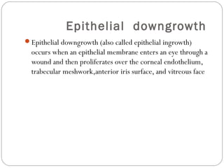 Epithelial downgrowth
Epithelial downgrowth (also called epithelial ingrowth)
occurs when an epithelial membrane enters an eye through a
wound and then proliferates over the corneal endothelium,
trabecular meshwork,anterior iris surface, and vitreous face
 