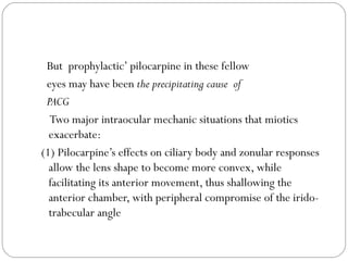 But prophylactic’ pilocarpine in these fellow
eyes may have been the precipitating cause of
PACG
Two major intraocular mechanic situations that miotics
exacerbate:
(1) Pilocarpine’s effects on ciliary body and zonular responses
allow the lens shape to become more convex, while
facilitating its anterior movement, thus shallowing the
anterior chamber, with peripheral compromise of the irido-
trabecular angle
 