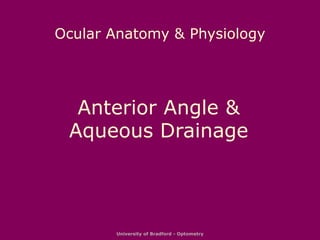 University of Bradford - Optometry
Ocular Anatomy & Physiology
Anterior Angle &
Aqueous Drainage
 