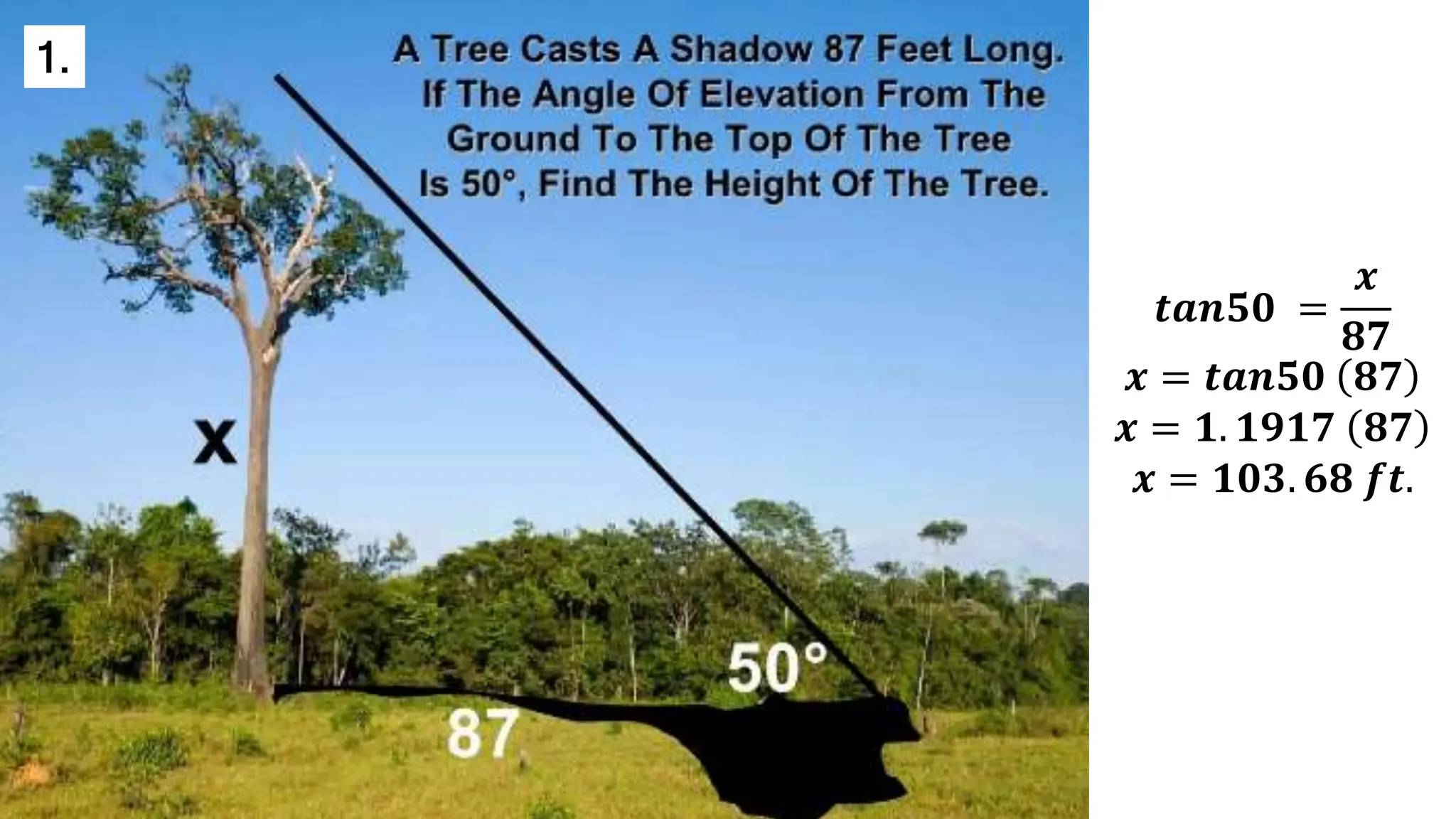 𝒕𝒂𝒏𝟓𝟎 =
𝒙
𝟖𝟕
𝒙 = 𝒕𝒂𝒏𝟓𝟎 𝟖𝟕
𝒙 = 𝟏. 𝟏𝟗𝟏𝟕 𝟖𝟕
𝒙 = 𝟏𝟎𝟑. 𝟔𝟖 𝒇𝒕.
1.
 