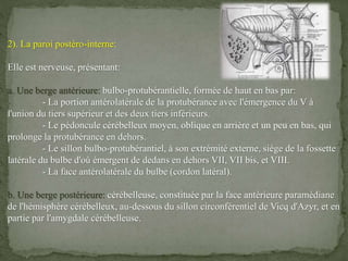 2). La paroi postéro-interne:
Elle est nerveuse, présentant:
a. Une berge antérieure: bulbo-protubérantielle, formée de haut en bas par:
- La portion antérolatérale de la protubérance avec l'émergence du V à
l'union du tiers supérieur et des deux tiers inférieurs.
- Le pédoncule cérébelleux moyen, oblique en arrière et un peu en bas, qui
prolonge la protubérance en dehors.
- Le sillon bulbo-protubérantiel, à son extrémité externe, siège de la fossette
latérale du bulbe d'où émergent de dedans en dehors VII, VII bis, et VIII.
- La face antérolatérale du bulbe (cordon latéral).
b. Une berge postérieure: cérébelleuse, constituée par la face antérieure paramédiane
de l'hémisphère cérébelleux, au-dessous du sillon circonférentiel de Vicq d'Azyr, et en
partie par l'amygdale cérébelleuse.
 