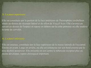 3). La paroi supérieure:
Elle est constituée par la portion de la face antérieure de l'hémisphère cérébelleux
située au-dessus du récessus latéral et du sillon de Vicq d‘Azyr. Elle s'avance en
auvent au-dessus de l'espace et repose en dehors sur la crête pétreuse où elle soulève
la tente du cervelet.
4). La paroi inférieure:
Elle est osseuse, constituée par la face supérieure de la masse latérale de l'occipital.
Étroite en avant. Large en arrière, où elle est échancrée sur son bord externe par le
trou déchiré postérieur. Elle présente en son centre le tubercule occipital plus ou
moins développé, repère chirurgical important.
 