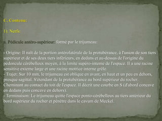 C. Contenu:
1). Nerfs:
a. Pédicule antéro-supérieur: formé par le trijumeau:
- Origine: Il naît de la portion antérolatérale de la protubérance, à l'union de son tiers
supérieur et de ses deux tiers inférieurs, en dedans et au-dessus de l'origine du
pédoncule cérébelleux moyen, à la limite supéro-interne de l'espace. Il a une racine
sensitive externe large et une racine motrice interne grêle.
- Trajet: Sur 10 mm, le trijumeau est oblique en avant, en haut et un peu en dehors,
presque sagittal. S'étendant de la protubérance au bord supérieur du rocher.
Cheminant au contact du toit de l'espace. Il décrit une courbe en S (d'abord concave
en dedans puis concave en dehors).
- Terminaison: Le trijumeau quitte l'espace ponto-cérébelleux au tiers antérieur du
bord supérieur du rocher et pénètre dans le cavum de Meckel.
 