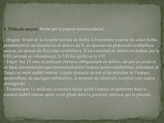 b. Pédicule moyen: formé par le paquet acousticofacial:
- Origine: Il naît de la fossette latérale du bulbe, à l'extrémité externe du sillon bulbo-
protubérantiel, au-dessous et en dehors du V, au-dessous du pédoncule cérébelleux
moyen, au-dessus du flocculus cérébelleux. Il est constitué de dehors en dedans par le
VIII (arrondi et volumineux), le VII bis (grêle) et le VII.
- Trajet: Sur 15 mm, le pédicule chemine obliquement en dehors, un peu en avant et
en haut, traversant presque transversalement l'espace ponto-cérébelleux, s'étendant de
l'angle au méat auditif interne, à égale distance du toit et du plancher de l'espace,
surplombant, de quelques millimètres, le sommet du tubercule occipital (son repère
chirurgical).
- Terminaison: Le pédicule acoustico-facial quitte l'espace en pénétrant dans le
conduit auditif interne après avoir glissé dans la gouttière pétreuse qui le précède.
 